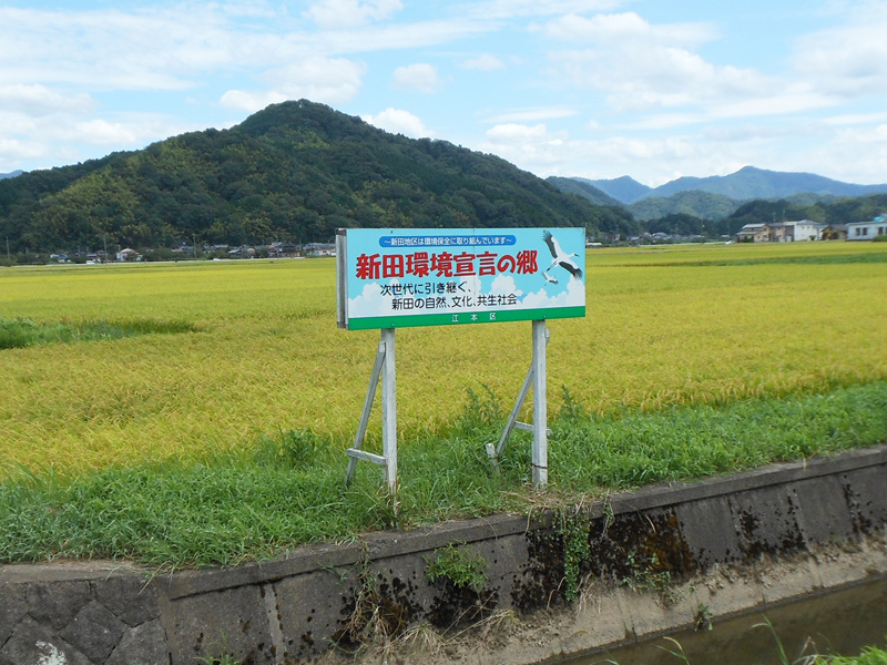 新田地区：野立て看板